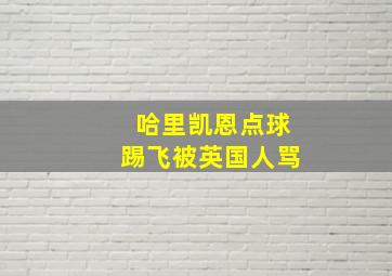 哈里凯恩点球踢飞被英国人骂