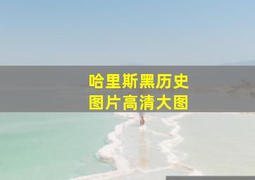 哈里斯黑历史图片高清大图