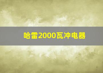 哈雷2000瓦冲电器