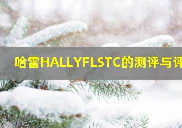 哈雷HALLYFLSTC的测评与评价