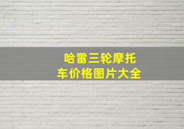 哈雷三轮摩托车价格图片大全