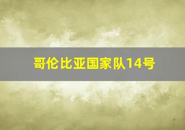 哥伦比亚国家队14号