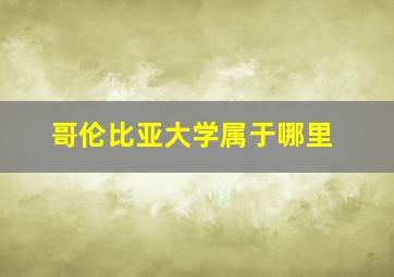 哥伦比亚大学属于哪里