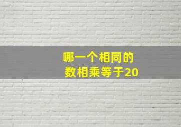 哪一个相同的数相乘等于20