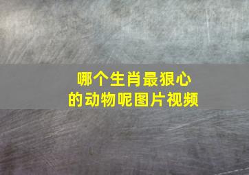 哪个生肖最狠心的动物呢图片视频