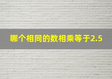 哪个相同的数相乘等于2.5