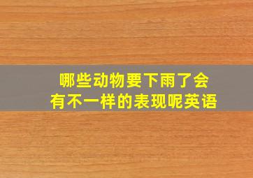 哪些动物要下雨了会有不一样的表现呢英语