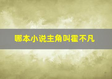 哪本小说主角叫霍不凡