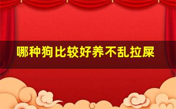 哪种狗比较好养不乱拉屎