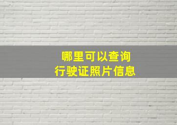 哪里可以查询行驶证照片信息