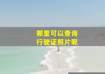 哪里可以查询行驶证照片呢