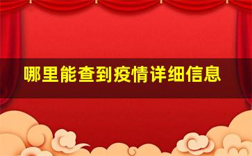 哪里能查到疫情详细信息