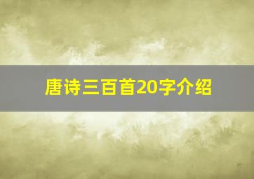 唐诗三百首20字介绍