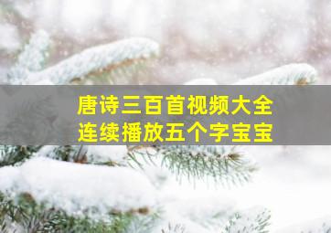 唐诗三百首视频大全连续播放五个字宝宝