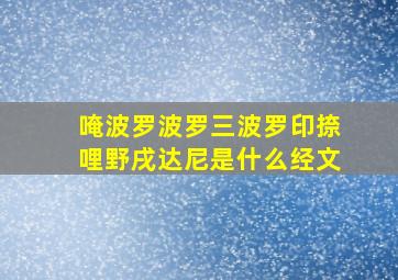 唵波罗波罗三波罗印捺哩野戌达尼是什么经文