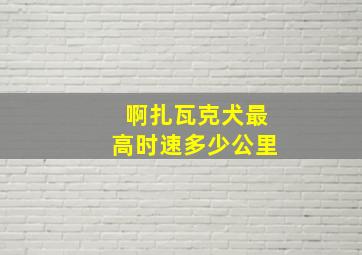 啊扎瓦克犬最高时速多少公里