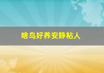 啥鸟好养安静粘人