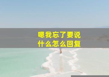 嗯我忘了要说什么怎么回复