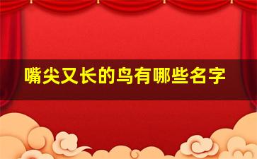 嘴尖又长的鸟有哪些名字