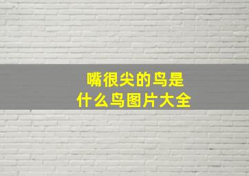 嘴很尖的鸟是什么鸟图片大全