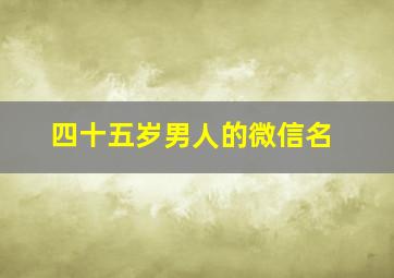 四十五岁男人的微信名