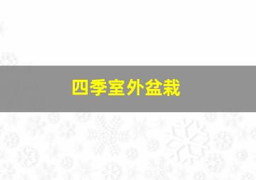 四季室外盆栽