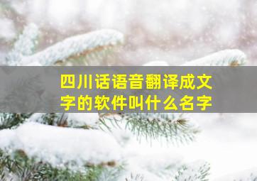 四川话语音翻译成文字的软件叫什么名字