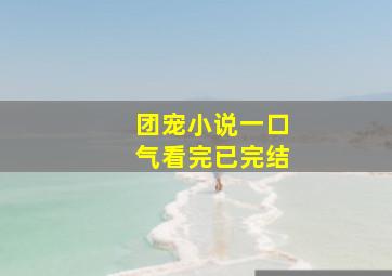 团宠小说一口气看完已完结