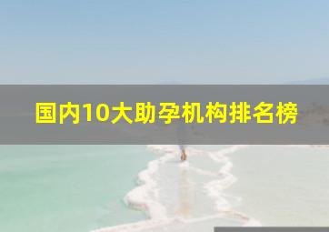 国内10大助孕机构排名榜