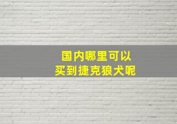 国内哪里可以买到捷克狼犬呢