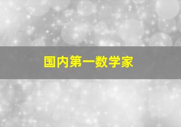 国内第一数学家