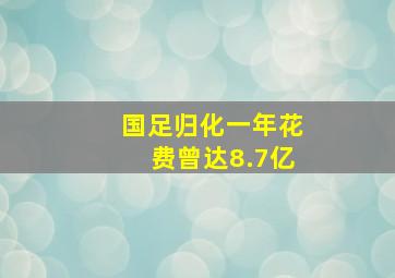 国足归化一年花费曾达8.7亿