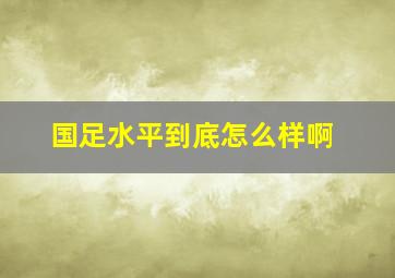 国足水平到底怎么样啊