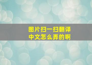 图片扫一扫翻译中文怎么弄的啊