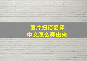 图片扫描翻译中文怎么弄出来