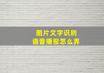 图片文字识别语音播报怎么弄