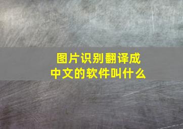 图片识别翻译成中文的软件叫什么