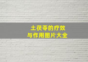 土茯苓的疗效与作用图片大全