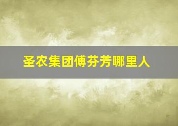 圣农集团傅芬芳哪里人