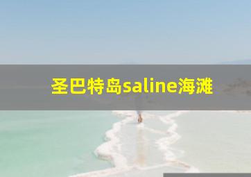 圣巴特岛saline海滩