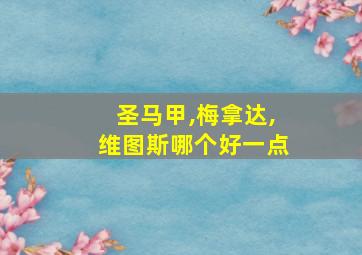 圣马甲,梅拿达,维图斯哪个好一点