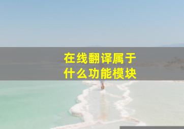 在线翻译属于什么功能模块