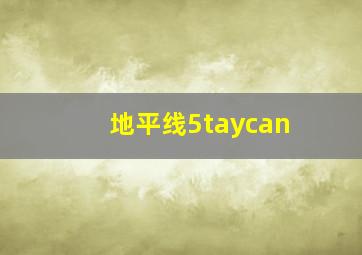 地平线5taycan