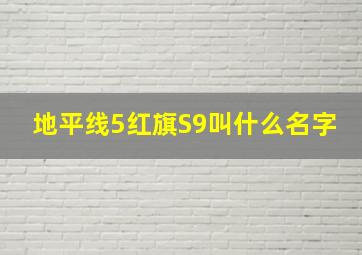 地平线5红旗S9叫什么名字