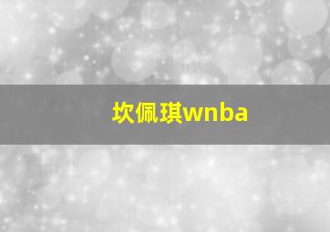 坎佩琪wnba