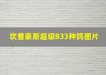 坎普豪斯超级833种鸽图片