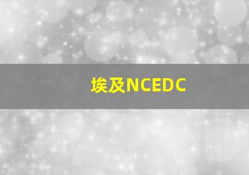 埃及NCEDC