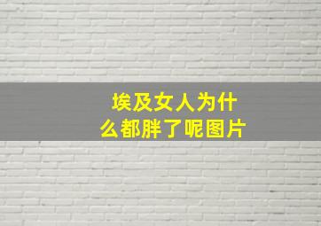 埃及女人为什么都胖了呢图片