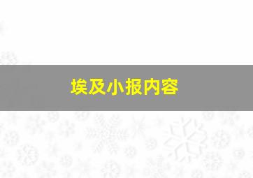 埃及小报内容