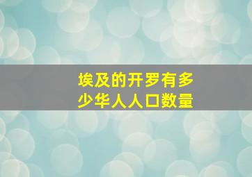 埃及的开罗有多少华人人口数量